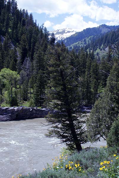 Snake River canyon