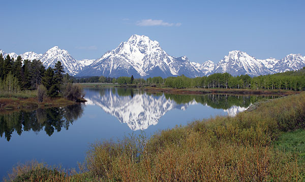 Mt. Moran