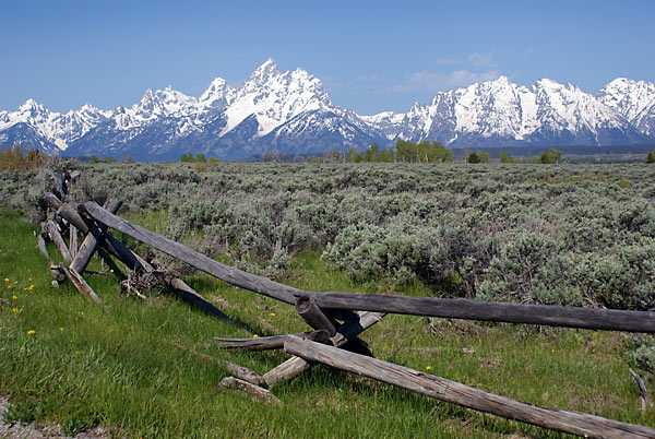 ranching in Jackson Hole