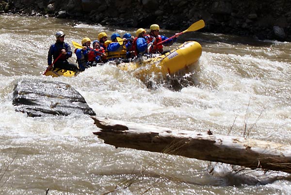 whitewater rafting