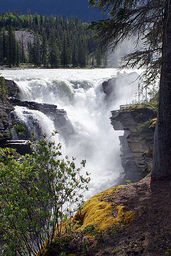 Athabaska falls