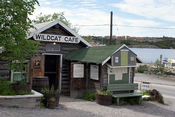 Wildcat cafe