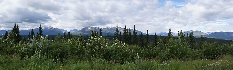 Denali Viewpoint North panorama