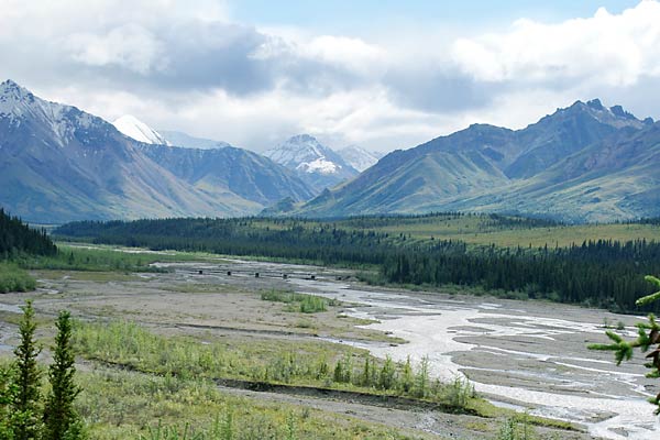 Teklanika river